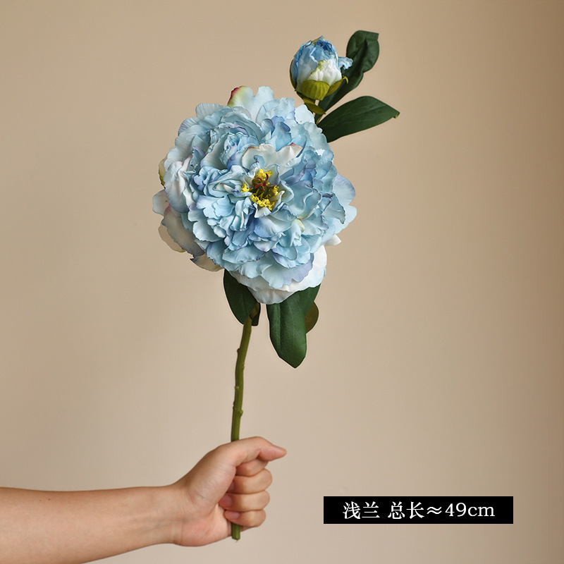 Flores de simulación de 2 flores de peonía de borde de coco, flores de loto falsas, decoración de escritorio de la casa nórdica, pintura al óleo de peonía falsa