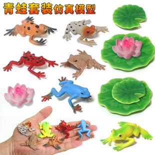 ����С����������b���ģ�̓ɗ�����ţ�܃�ͯ���ǽ����̾߶Y��