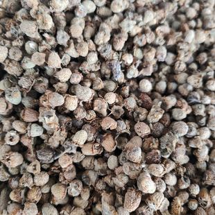 Ұ�������� ���h�� ɽ�� ��ݮ ���ݺ{ �����^ ��Ʒ�o��ȡ