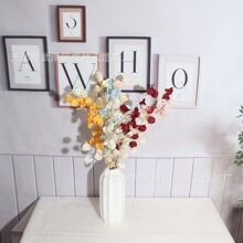 ������滨���\��3���L⏹����ins�L��c�zӰ���߲廨�ٻ������l