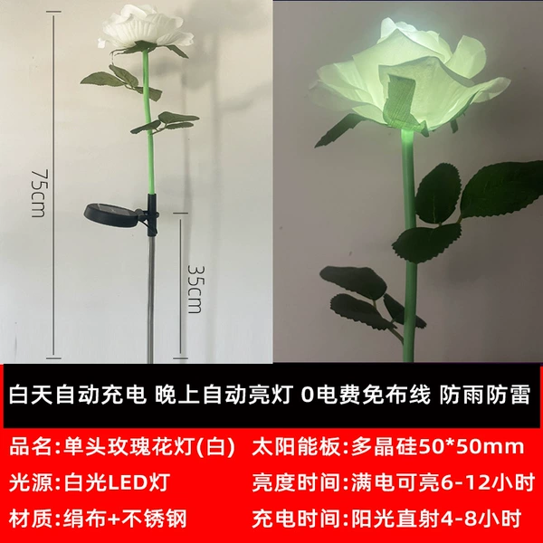 Solar-single-white rose (OPP bag installation)