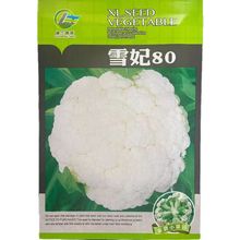 ���m���N�Ѵ��＾��Ҭ���߲˷N���ͺ��G�˻��ļ��໨�˷N