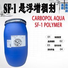 F؛ · sf-1 ҺwSF-1 Ҹ턩 ϩ