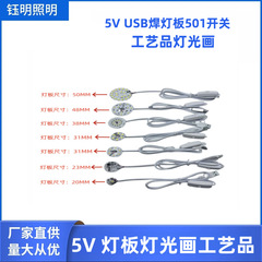 Ledランプコア5Vランプ低圧単色光源板USBソケット付きスイッチ線