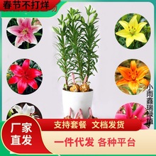 һ�����l��ˮ�ٺϰٺϷN�� �ٺϷN���������ֲ�����ԾGֲ��ѿ�r