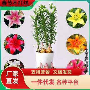 һ�����l��ˮ�ٺϰٺϷN�� �ٺϷN���������ֲ�����ԾGֲ��ѿ�r