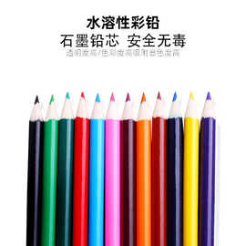 原木3.5英寸彩色铅笔儿童创意卡通短款彩铅批发套装绘画彩铅