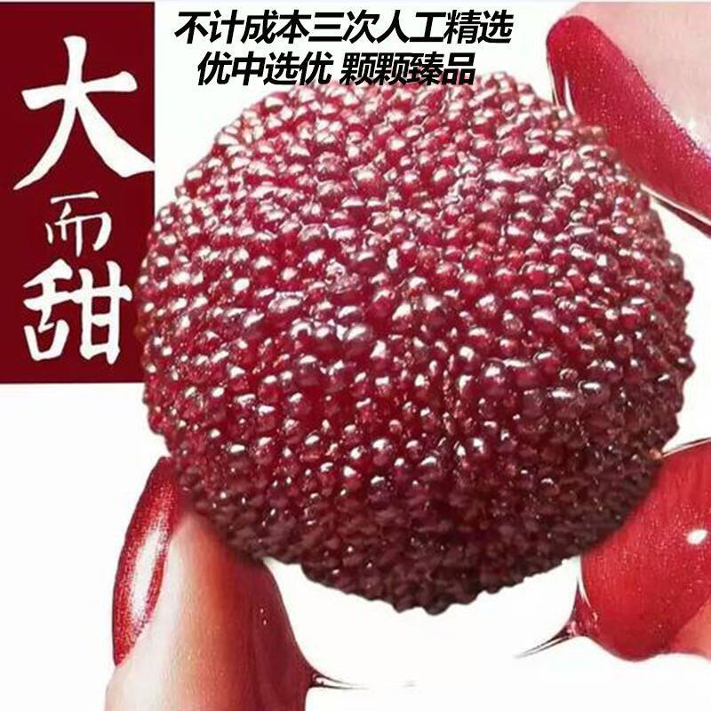 Red bayberry fresh divine abode Freezing Freeze Quick-freeze Paojiu fruit factory wholesale