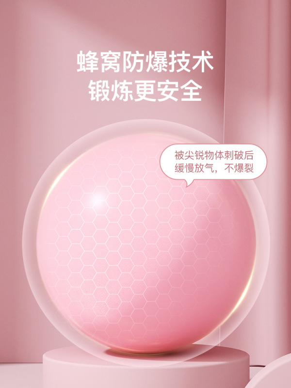 朗威瑜伽球普拉提小球健身加厚防爆翘臀球体操平衡球孕妇助产器材|undefined