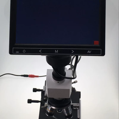 Car display for Blood Cell Analysis