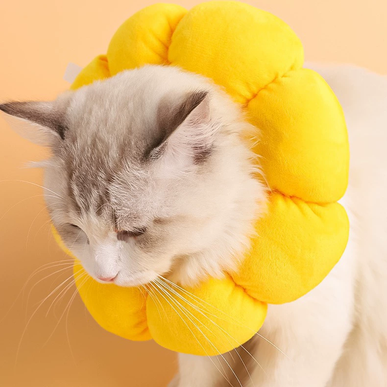 Elizabeth Circle Кошка с солнечным цветком не липкая