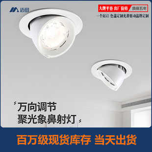 High Color Display Anti-glare Household Led Elephant Trunnery Spotlight Embedded Downlight 125 Opening 30W Clothing Store Spotlight