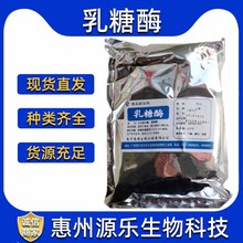 食品级乳糖酶 β-半乳糖苷酶一公斤起订乳糖酶