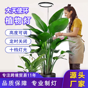 �S�����lֲ�����L���҃ȴ���ʹ�hled�a���USB��s�ܵز��������