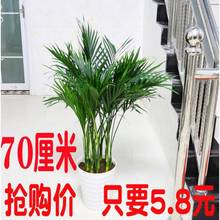 ɢβ������ �����������Pβ�� �҃Ȼ��ܾGֲ����Ҭ���҃ȴ�������