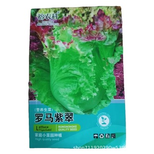 �_�R�ϴ����˷N���͟Ό���ļ����_�R�������r�������߲˷N�Ӵ�ȫ