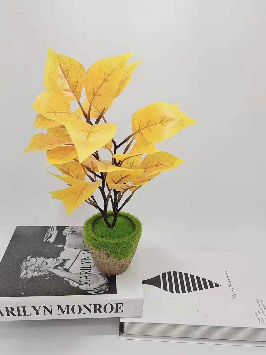 035ee59e715bc5bdd31b13f3b654a5