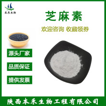 芝麻素20-99% 黑芝麻提取物 HPLC 厂家供应 黑芝麻素粉 100g/袋