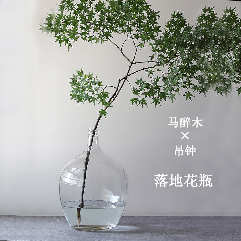 北歐小口大肚花瓶玻璃日本吊鐘馬醉木歐式客廳擺件水培大號瓶子