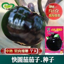 ��A�ѷN�� �r��˵طNֲ�߲�����򂀴��ۈA�������������