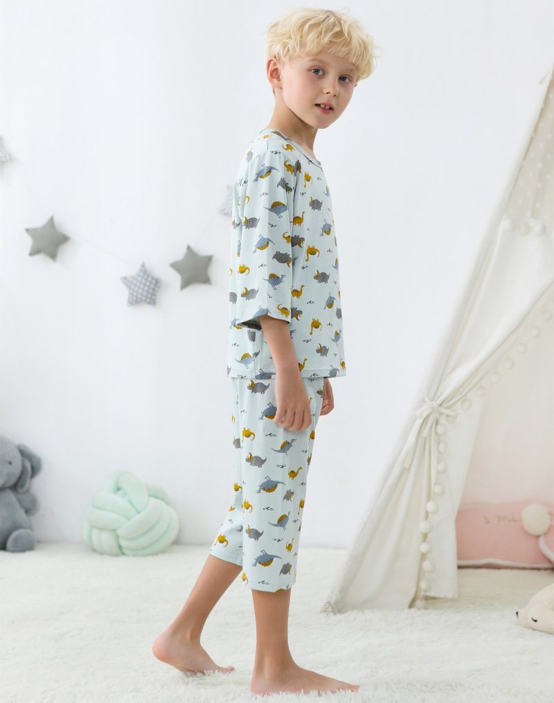 K2112-沙灰恐龙 (9).jpg