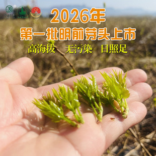 2026���²菈�ҽ���ǰѿ�^ݮ������ٲ�Ұ���ظʸ���ѿ������־