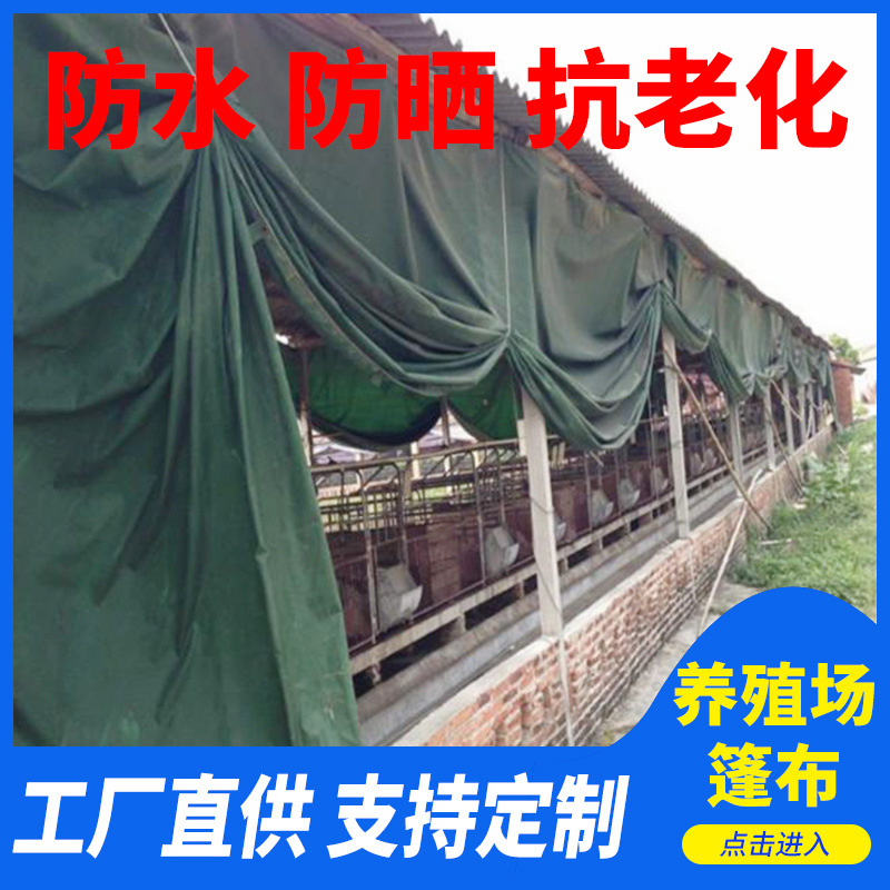 防晒防雨篷布 厂家直销防雨pvc涂塑布 防水汽车篷布雨棚布批发