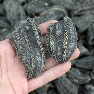 ���u�t�O�� ���ɺ������Ƹ�؛���aƷ ʳ�ĵ��ɺ���Ƥ 500��