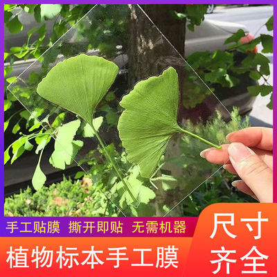 冷裱膜树叶标本植物书签膜手工自粘小卡照片透明光面膜DIY塑封膜|ru