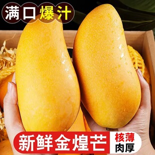 ���Ͻ��â���râ��10�ﮔ���Ꭷˮ������â�����ش�ˮ��â�����]