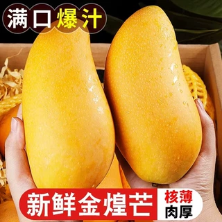 海南金煌芒新鲜芒果10斤当季热带水果大青芒超大特大水仙芒果包邮