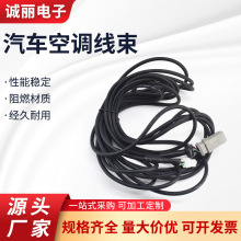 ��܇���{�����؝�Ȃ������ŷ�늙C�������������^