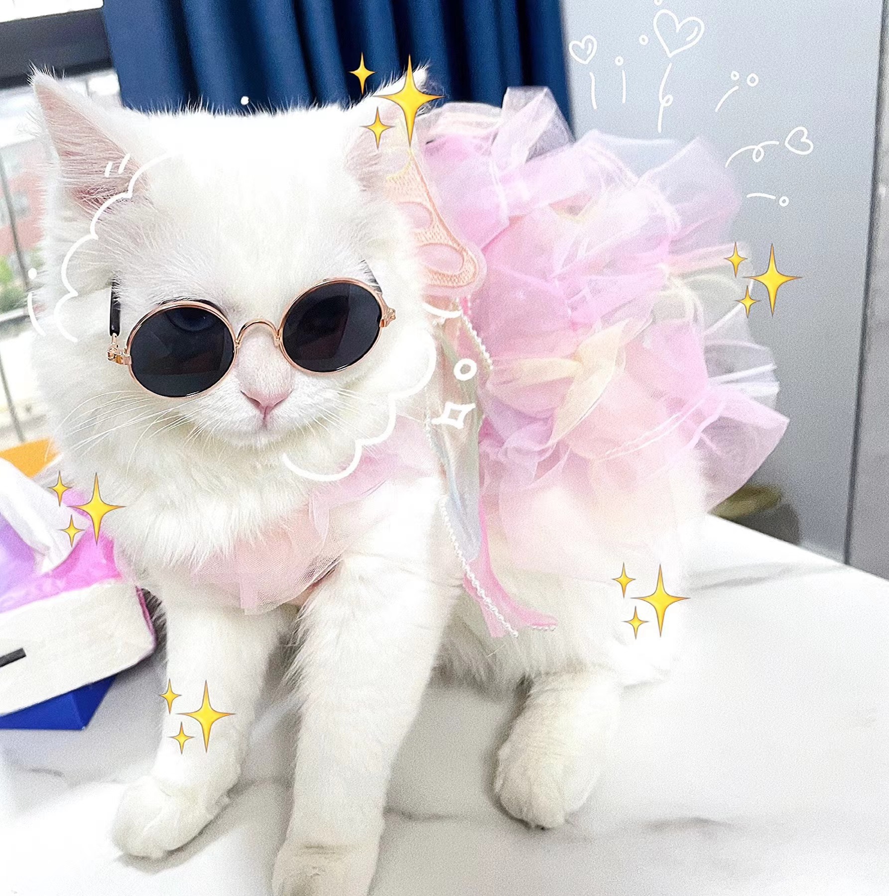 Robe de mariée princesse pour animaux de compagnie Vêtements pour chiens et chats Fournitures Corgi Teddy Fadou Butterfly Fairy_voghion.com