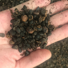 SֱNlʹЙC lʹ ΢lʹ󶹵׷