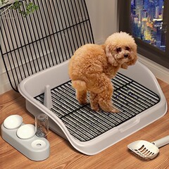 犬のトイレの糞は砂鉢の中型小型犬専用の子犬を掃除します。