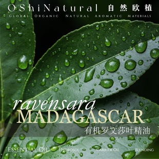 Madagascar Organic Rowansa Leaf Essential Oil Imported Cinnamomum camphora Single Skin Care Massage Aromatherapy Raw Material