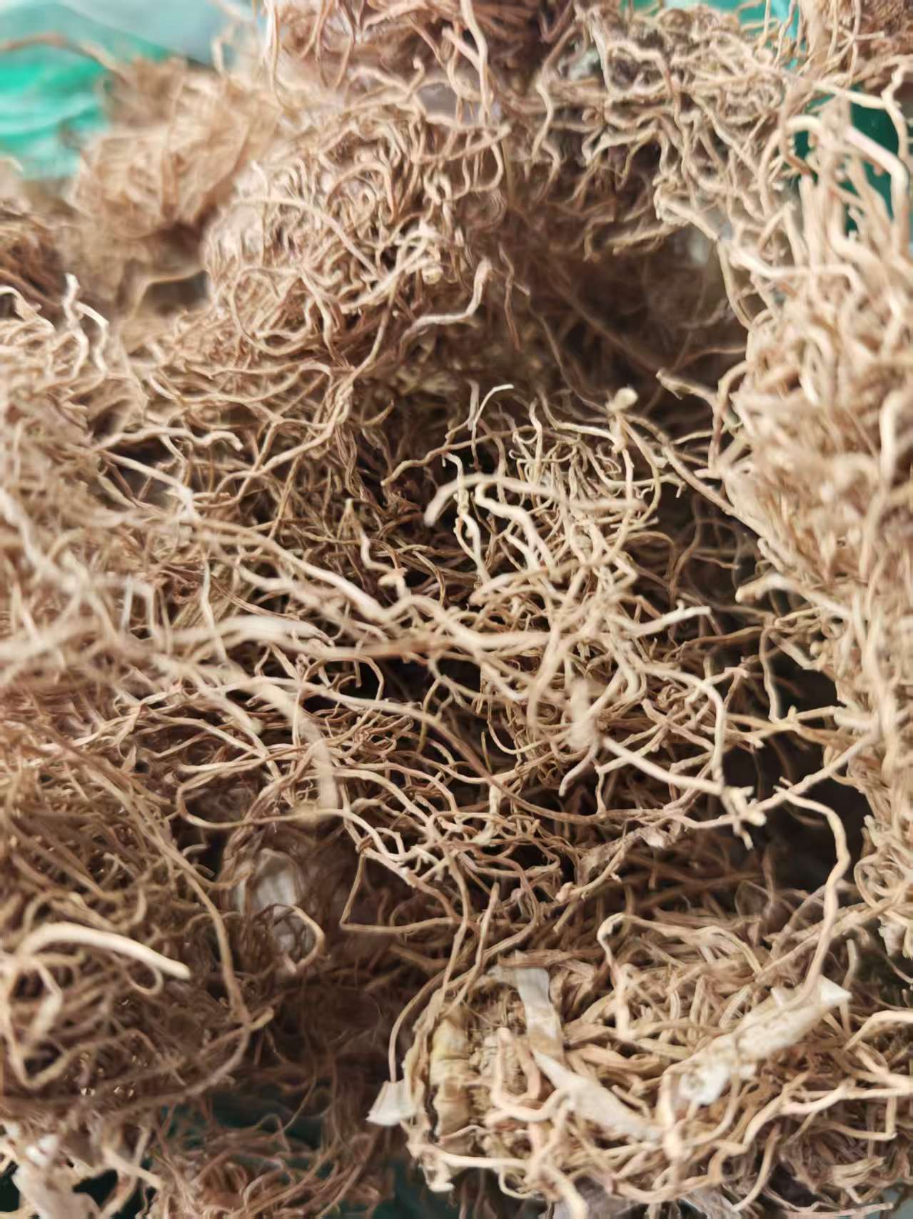 Scallion Root & Scallion White (Allium fistulosum) — Dried Culinary Herb for Cooking & Soup in use