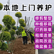 �������T�B������Gֲ�����޼����U���@��ƺ��ș����Nֲ�������l