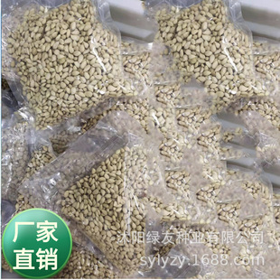 ���l�h�ʠ���; ����ֲ��N�� ���� �ֽ��ך� �F�h�ʇ����Nֲֲ��