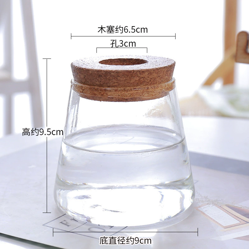 Ваза украшение прозрачная стеклянная бутылка креативная минималистская ваза декоративная цветочная композиция