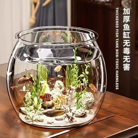 鱼缸;水族箱;猫猫窝/笼/垫