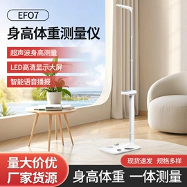 电子秤;体重秤;台秤