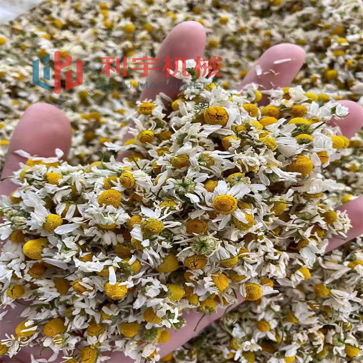 果蔬食品低温干燥机秋葵土豆片草莓黄桃FD果蔬脆全自动低温冻干机