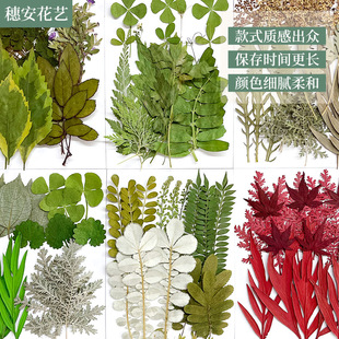 Carefully Selected Dried Flower Embossed Material Package Green Leaf Carving Plant Specimen Glue Mobile Phone Case Photo Frame Hay Package DIY
