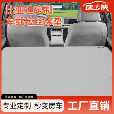 Vehicle-mounted inflatable bed – Sea Lion 06 Car Bed