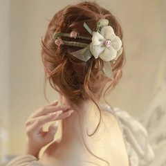 2025 フェアリーガール生地ワンラインクリップ女性の新しいハイエンドヘアクリップ後頭部カモノハシクリップ頭飾り卸売