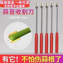 ��̦�ո�������Zʳ�鵶�����r�����L��������X�ֹ���̦����