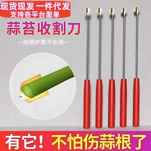 Garlic Stalk Harvesting Tool for Harvesting Garlic Stalks, Long-Handled Curved Saw with Serrated Edges, Specially Designed for Manual Harvesting of Garlic Stalks