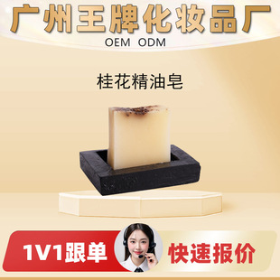 SOEMƼӹNԴ^u𻨾Ȼֲȡغ坍