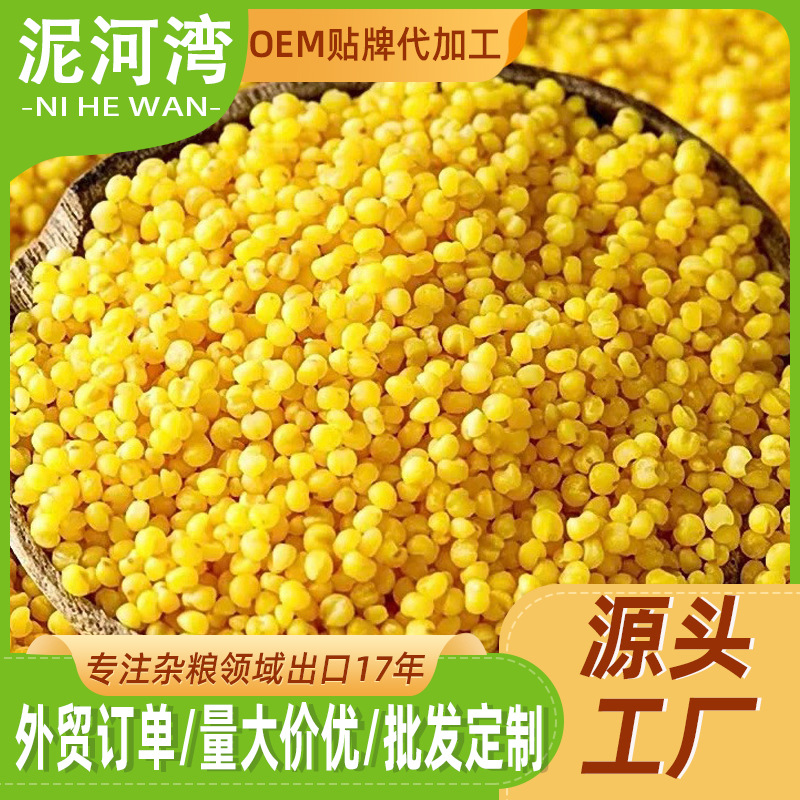泥河湾|张杂13号黄小米农家25kg/袋月子批发谷子杂粮粥米厂家绿色